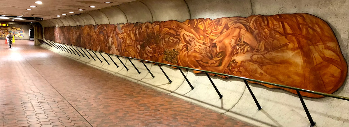 Washington Metro - DC Mural
