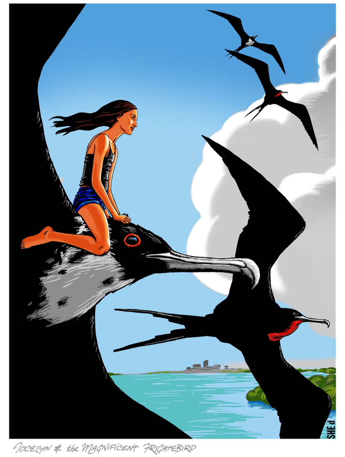 Jocelyn & the Magnificent Frigate Bird